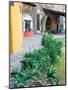 Grounds and Buildings of Historic La Valenciana Mine, Guanajuato State, Mexico-Julie Eggers-Mounted Photographic Print