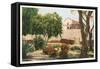 Grounds of Old Mission, San Diego, California-null-Framed Stretched Canvas