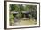 Grounds of the Shingon-in Temple, Nara, Japan.-Dennis Flaherty-Framed Photographic Print