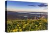 Groundsel, Swan Range Looking Down onto Flathead Lake, Montana-Chuck Haney-Stretched Canvas