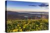 Groundsel, Swan Range Looking Down onto Flathead Lake, Montana-Chuck Haney-Stretched Canvas