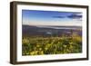 Groundsel, Swan Range Looking Down onto Flathead Lake, Montana-Chuck Haney-Framed Photographic Print