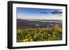 Groundsel, Swan Range Looking Down onto Flathead Lake, Montana-Chuck Haney-Framed Photographic Print