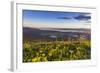 Groundsel, Swan Range Looking Down onto Flathead Lake, Montana-Chuck Haney-Framed Photographic Print