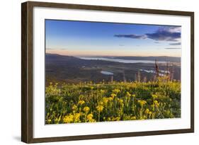 Groundsel, Swan Range Looking Down onto Flathead Lake, Montana-Chuck Haney-Framed Photographic Print