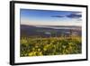 Groundsel, Swan Range Looking Down onto Flathead Lake, Montana-Chuck Haney-Framed Photographic Print