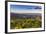 Groundsel, Swan Range Looking Down onto Flathead Lake, Montana-Chuck Haney-Framed Photographic Print