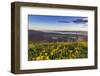 Groundsel, Swan Range Looking Down onto Flathead Lake, Montana-Chuck Haney-Framed Photographic Print