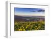 Groundsel, Swan Range Looking Down onto Flathead Lake, Montana-Chuck Haney-Framed Photographic Print