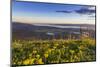 Groundsel, Swan Range Looking Down onto Flathead Lake, Montana-Chuck Haney-Mounted Photographic Print