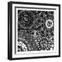 Group Cell-Jace Grey-Framed Art Print