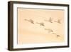 Group Dancing-Feng Qin-Framed Photographic Print