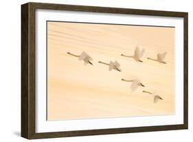 Group Dancing-Feng Qin-Framed Photographic Print