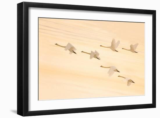 Group Dancing-Feng Qin-Framed Photographic Print