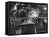 Group Eating Large Pieces of Watermelon Photograph - Fairfield, Alabama-Lantern Press-Framed Stretched Canvas