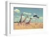 Group Giraffe in National Park of Kenya, Africa-Volodymyr Burdiak-Framed Photographic Print