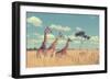 Group Giraffe in National Park of Kenya, Africa-Volodymyr Burdiak-Framed Photographic Print