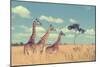 Group Giraffe in National Park of Kenya, Africa-Volodymyr Burdiak-Mounted Photographic Print