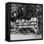 Group of 37 Rural Delivery Mailboxes at Side of Country Road-null-Framed Stretched Canvas