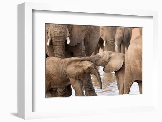 Group of African elephants with baby (Loxodonta africana), Serengeti National Park, Tanzania, East -null-Framed Photographic Print