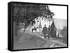 Group of American Civil War Officers at their Encampment-Stocktrek Images-Framed Stretched Canvas