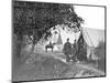 Group of American Civil War Officers at their Encampment-Stocktrek Images-Mounted Photographic Print