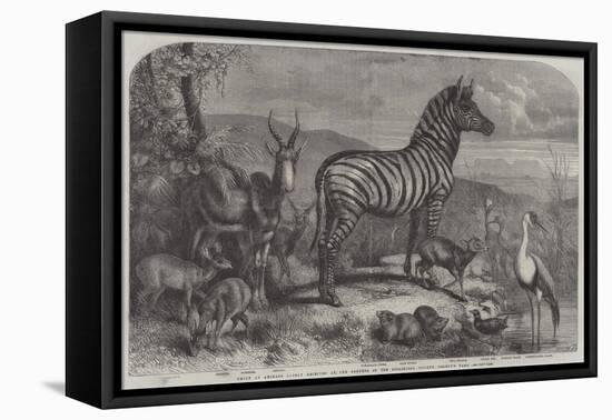 Group of Animals Lately Received at the Gardens of the Zoological Society, Regent's Park-Johann Baptist Zwecker-Framed Stretched Canvas
