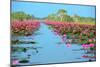 Group of Beautiful Blossom Lotus-num_skyman-Mounted Photographic Print