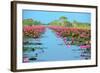 Group of Beautiful Blossom Lotus-num_skyman-Framed Photographic Print