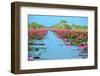 Group of Beautiful Blossom Lotus-num_skyman-Framed Photographic Print