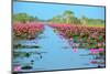 Group of Beautiful Blossom Lotus-num_skyman-Mounted Photographic Print