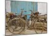 Group of bicycles in gulley (alley) Delhi, India-Adam Jones-Mounted Photographic Print