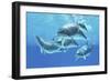 Group of Bottlenose Dolphins Foraging the Ocean-Stocktrek Images-Framed Art Print