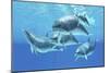 Group of Bottlenose Dolphins Foraging the Ocean-Stocktrek Images-Mounted Art Print