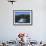 Group of Brown Bears Fishing in Brooks River, Katmai National Park, Alaska, USA-Paul Souders-Framed Photographic Print displayed on a wall