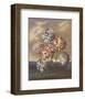 Group of Carnations-Dr^ Robert J^ Thornton-Framed Art Print