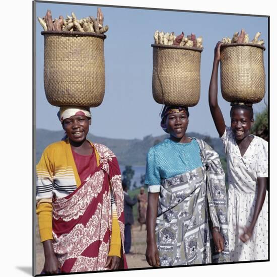 Group of Cheerful Women Carry Sweet Potatoes to Market in Traditional Split-Bamboo Baskets-Nigel Pavitt-Mounted Photographic Print