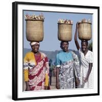 Group of Cheerful Women Carry Sweet Potatoes to Market in Traditional Split-Bamboo Baskets-Nigel Pavitt-Framed Photographic Print