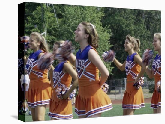 Group of Cheerleaders Cheering in a Field-null-Stretched Canvas