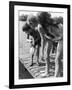 Group of Children Fishing from a Jetty-null-Framed Photographic Print