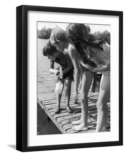 Premium Photographic Print, , large