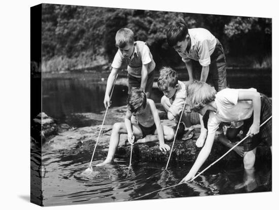 Group of Children Fishing in a Stream with Nets-null-Stretched Canvas