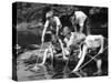 Group of Children Fishing in a Stream with Nets-null-Stretched Canvas