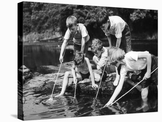 Group of Children Fishing in a Stream with Nets-null-Stretched Canvas