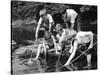 Group of Children Fishing in a Stream with Nets-null-Stretched Canvas