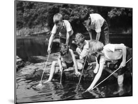 Group of Children Fishing in a Stream with Nets-null-Mounted Photographic Print