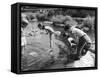 Group of Children Fishing with Nets in a Country Stream-null-Framed Stretched Canvas