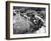 Group of Children Fishing with Nets in a Country Stream-null-Framed Photographic Print