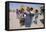 Group of Children in the Town of M'Hamid, Draa Valley, Morocco, North Africa, Africa-Jenny Pate-Framed Stretched Canvas