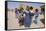 Group of Children in the Town of M'Hamid, Draa Valley, Morocco, North Africa, Africa-Jenny Pate-Framed Stretched Canvas